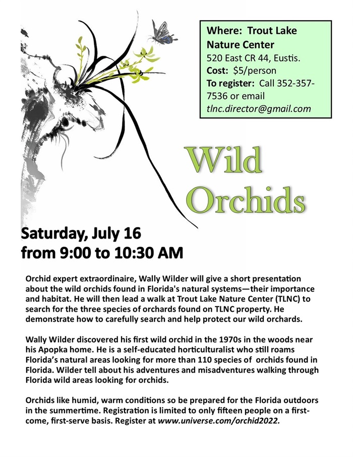 Wild Orchids July 2022