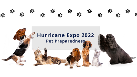 dogs and cats holding a sign that reads hurricane expo pet preparedness