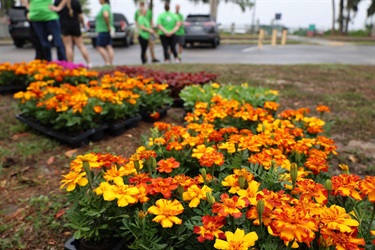 Publix presenting the City of Eustis with a check for future Eustis in Bloom projects.