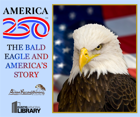 America250: The Bald Eagle and America's Story will be on Wednesday, July 15 from 2 - 3 pm at the Eustis Memorial Library