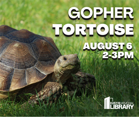 Gopher Tortoise workshop will be on Wednesday, August 6 from 2 - 3  p.m.