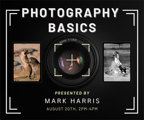 Photography Basics workshop will be on Wednesday, August 20 from 2 -  4 p.m.