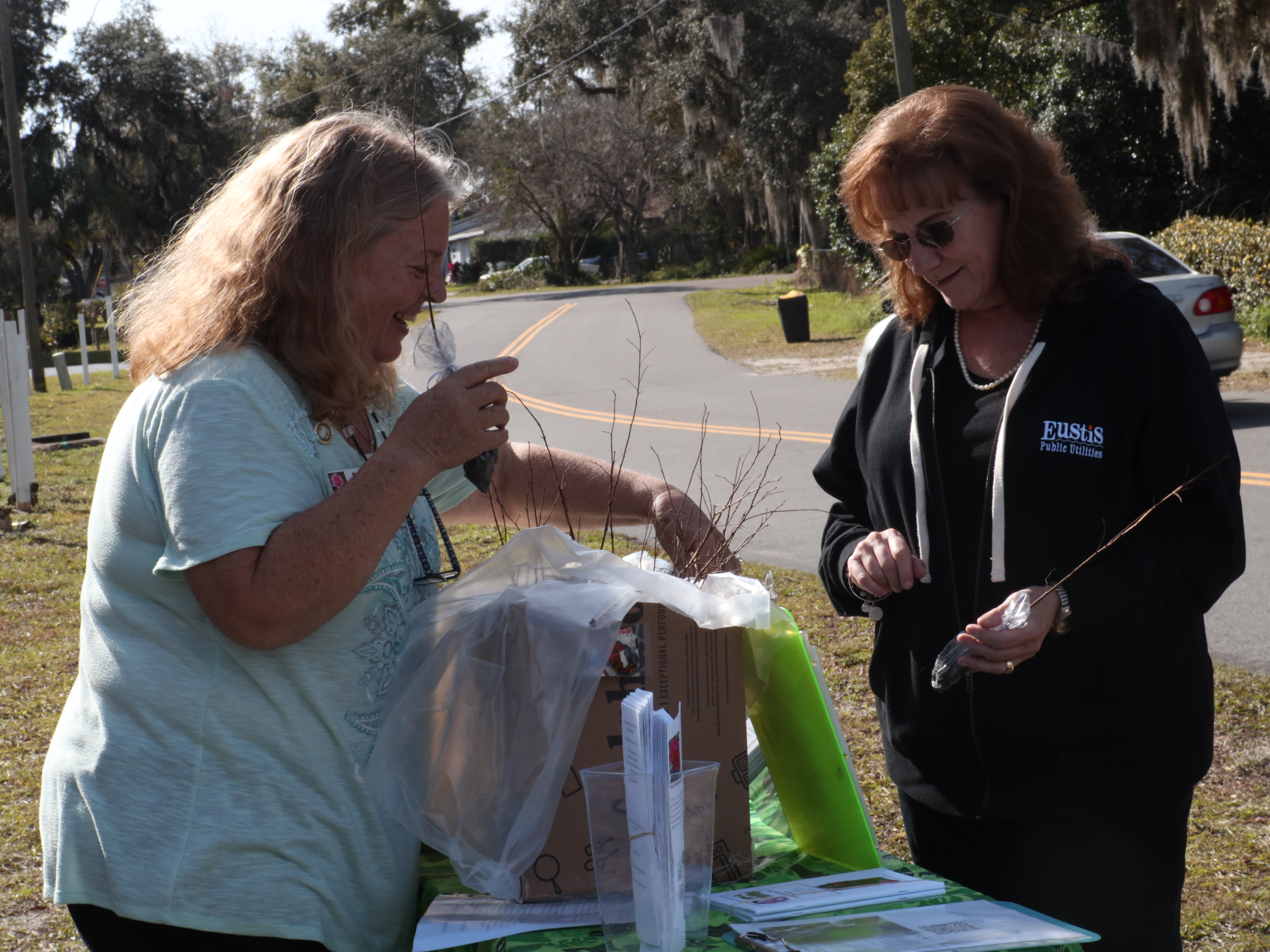 Camellia Garden Club giving out tree starters to Eustis community