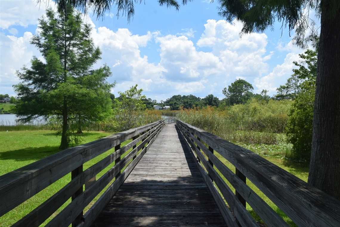 Carver Park Boardwalk to Lake Willie