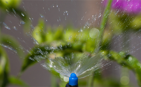 Sprinkler Head with water coming out