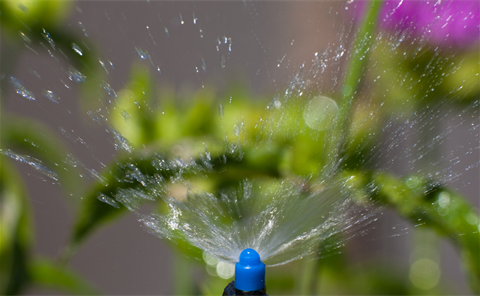 Water Conservation.png