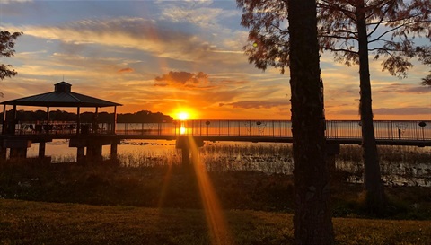 Ferran Park Boardwalk _Eustis,FL.jpeg