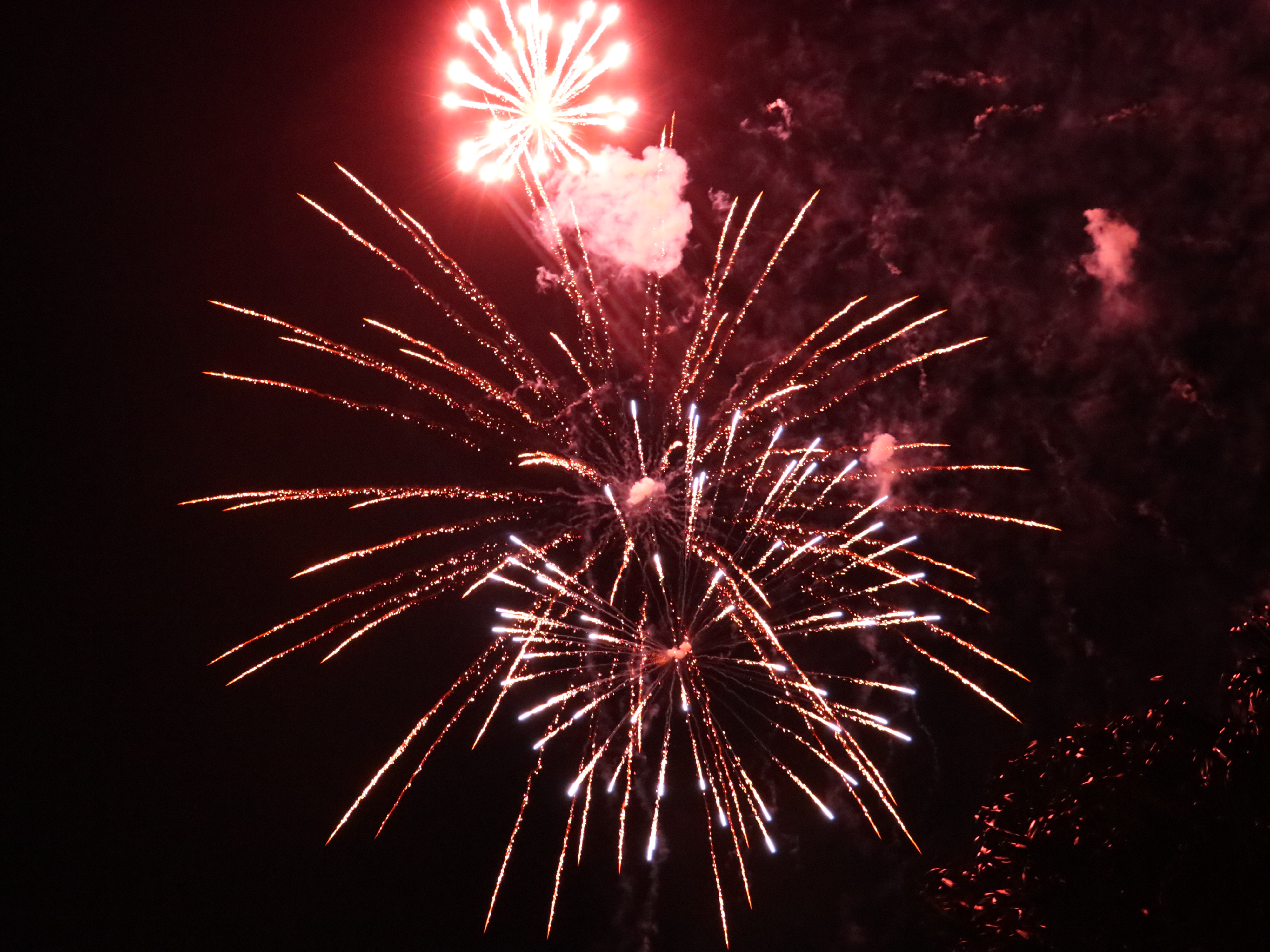 Fireworks from the 122nd Georgefest 2024